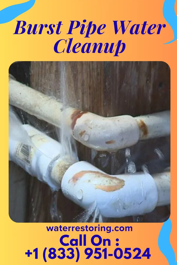 Burst Pipe Water Cleanup in East Orange, NJ