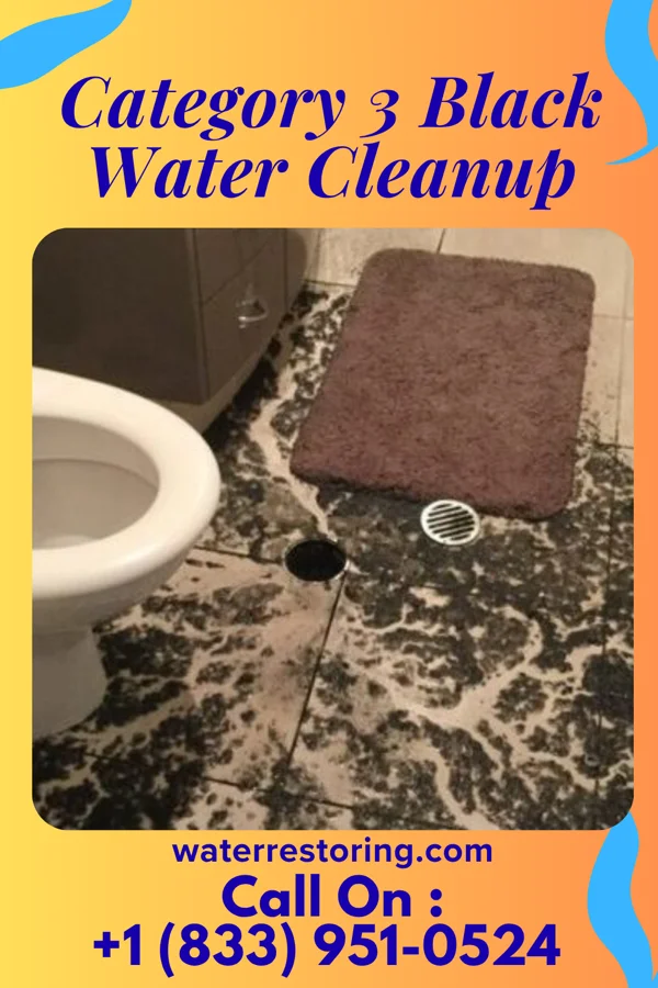 Category 3 Black Water Cleanup in East Orange, NJ