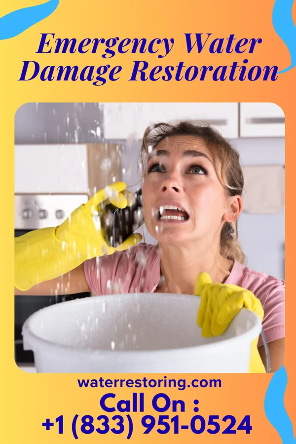 Emergency Water Damage Restoration in East Orange, NJ