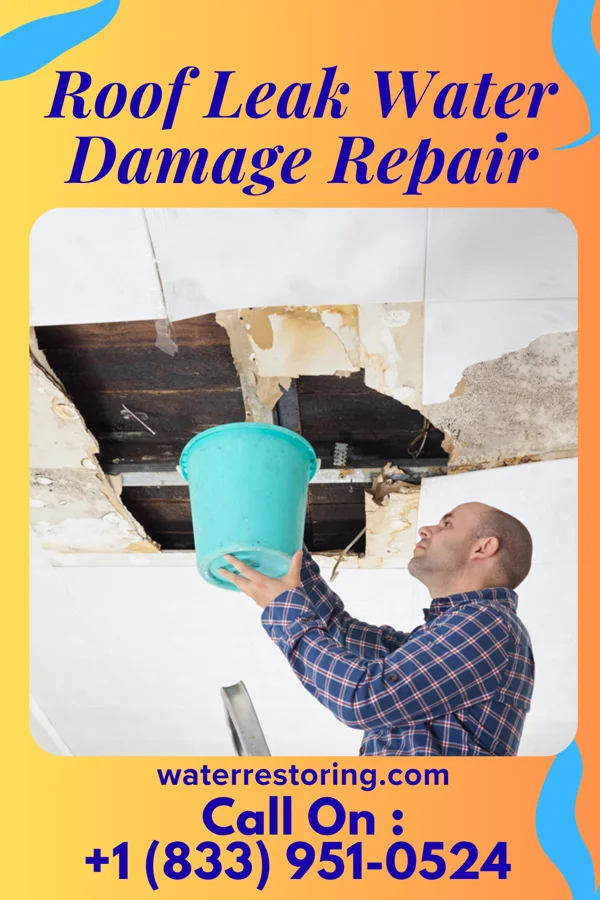 Roof Leak Water Damage Repair in East Orange, NJ
